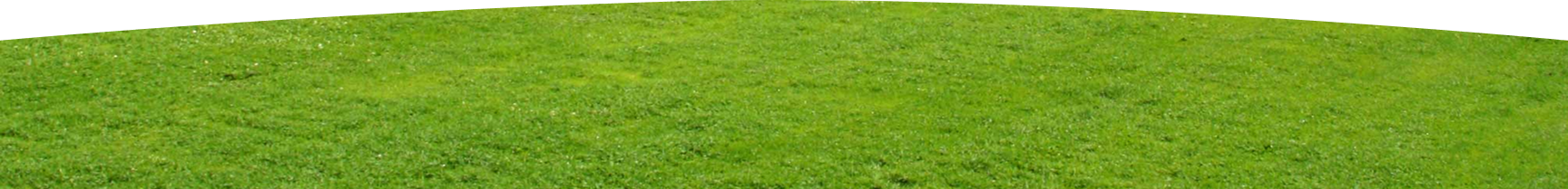 ground
