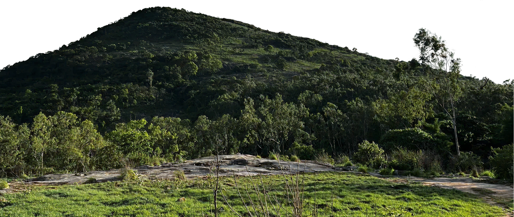 hill